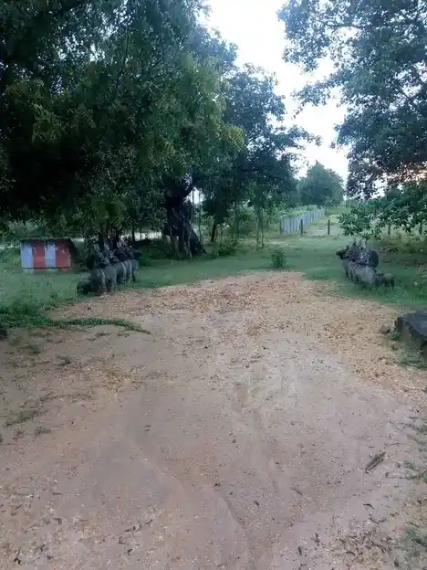 Arulmigu Ayyanar Temple, Kattaththi - 630556 அருள்மிகு. அய்யனார் திருக்கோயில், Kattaththi - 630556, Sivagangai - Ancient Temple Architecture and History Image 3