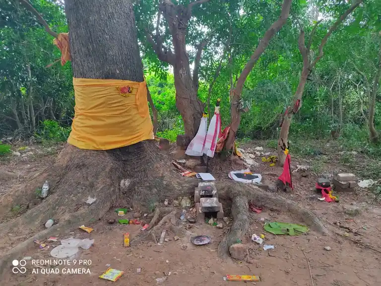 Arulmigu Ayyanar Temple, Kavarapalayam - 608901 Temple