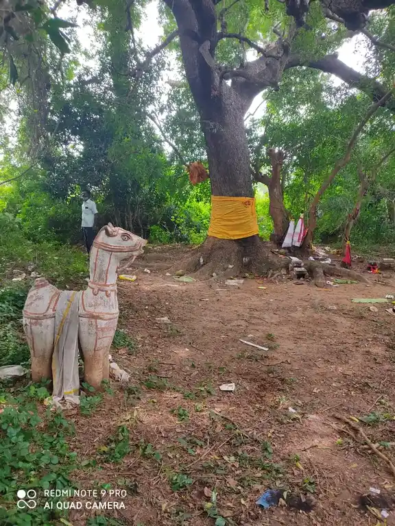 Arulmigu Ayyanar Temple, Kavarapalayam - 608901 அருள்மிகு அய்யனார் திருக்கோயில், கவரப்பாளையம் - 608901, Ariyalur - Ancient Temple Architecture and History Image 2