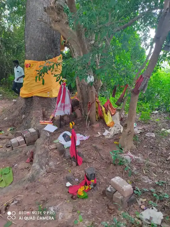 Arulmigu Ayyanar Temple, Kavarapalayam - 608901 அருள்மிகு அய்யனார் திருக்கோயில், கவரப்பாளையம் - 608901, Ariyalur - Ancient Temple Architecture and History Image 3