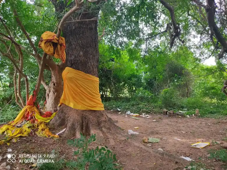 Arulmigu Ayyanar Temple, Kavarapalayam - 608901 அருள்மிகு அய்யனார் திருக்கோயில், கவரப்பாளையம் - 608901, Ariyalur - Ancient Temple Architecture and History Image 4
