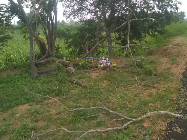 Arulmigu Ayyanar Temple, Keelacinnanampatti - 625501