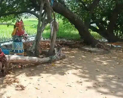 Arulmigu Ayyanar Temple, Keelakurichi - 620013 அருள்மிகு அய்யனார் திருக்கோயில்,, வேங்கூர், கீழக்குறிச்சி. - 620013, Thiruchirappalli - Ancient Temple Architecture and History Image 2