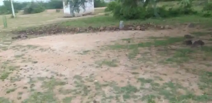 Arulmigu Ayyanar Temple, Kilavaneri - 625704