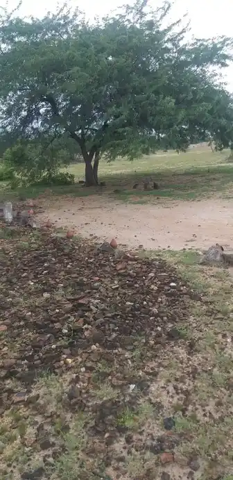 Arulmigu Ayyanar Temple, Kilavaneri - 625704 அருள்மிகு அய்யனார் திருக்கோயில், Kilavaneri - 625704, Madurai - Ancient Temple Architecture and History Image 2