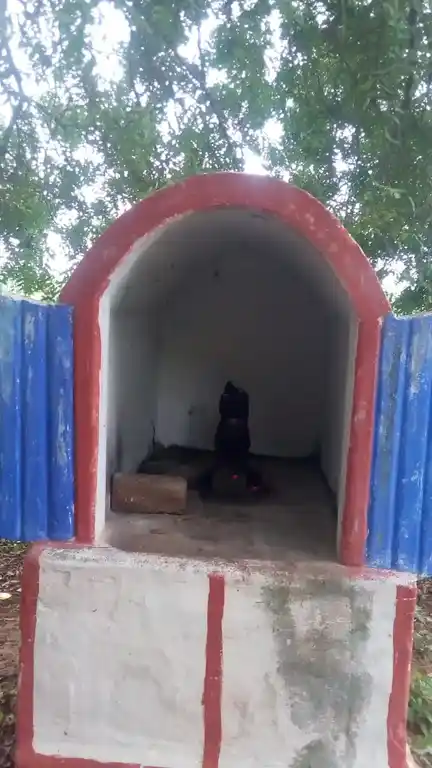 Arulmigu Ayyanar Temple, Kilikudu - 620013