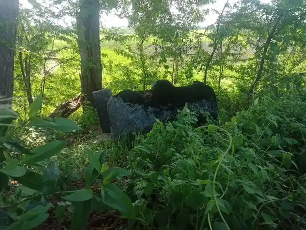 Arulmigu Ayyanar Temple, Kinnimangalam - 625514 அருள்மிகு அய்யனார் திருக்கோயில், Kinnimangalam - 625514, Madurai - Ancient Temple Architecture and History Image 2