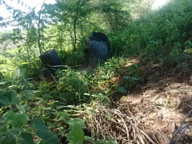Arulmigu Ayyanar Temple, Kinnimangalam - 625514 அருள்மிகு அய்யனார் திருக்கோயில், Kinnimangalam - 625514, Madurai - Ancient Temple Architecture and History Image 3