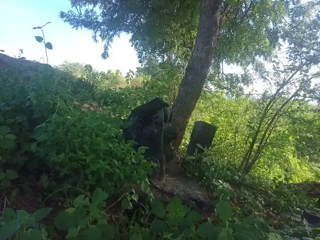 Arulmigu Ayyanar Temple, Kinnimangalam - 625514 அருள்மிகு அய்யனார் திருக்கோயில், Kinnimangalam - 625514, Madurai - Ancient Temple Architecture and History Image 4