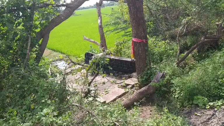 Arulmigu Ayyanar Temple, Kodikulam - 625514 அருள்மிகு அய்யனார் திருக்கோயில், Kodikulam - 625514, Madurai - Ancient Temple Architecture and History Image 4