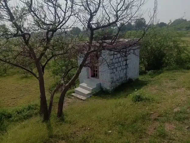 Arulmigu Ayyanar Temple, Kokkalancheri - 625706