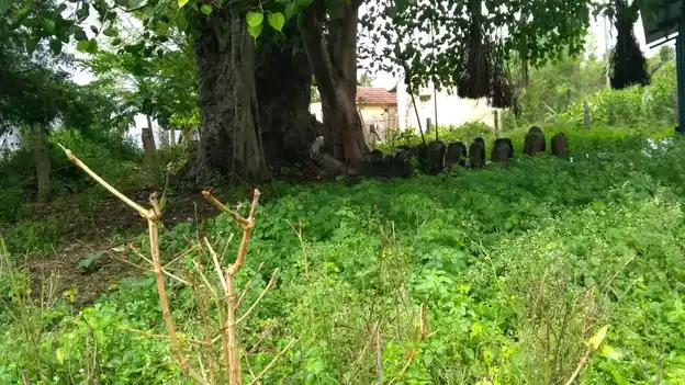 Arulmigu Ayyanar Temple, Kokkudi - 621653 Temple