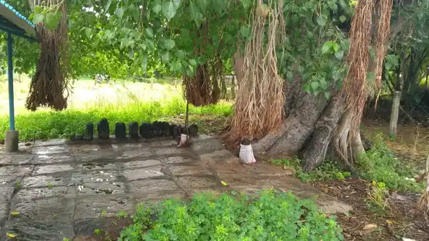 Arulmigu Ayyanar Temple, Kokkudi - 621653 Arulmigu Ayyanar Temple,  - 621653, Ariyalur - Ancient Temple Architecture and History Image 3