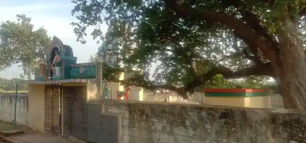 Arulmigu Ayyanar Temple, Kolakkanatham - 621106 அருள்மிகு அய்யனார் திருக்கோயில், Kolakkanatham, Kolakkanatham - 621106, Perambalur - Ancient Temple Architecture and History Image 2