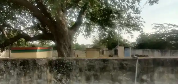 Arulmigu Ayyanar Temple, Kolakkanatham - 621106 அருள்மிகு அய்யனார் திருக்கோயில், Kolakkanatham, Kolakkanatham - 621106, Perambalur - Ancient Temple Architecture and History Image 3