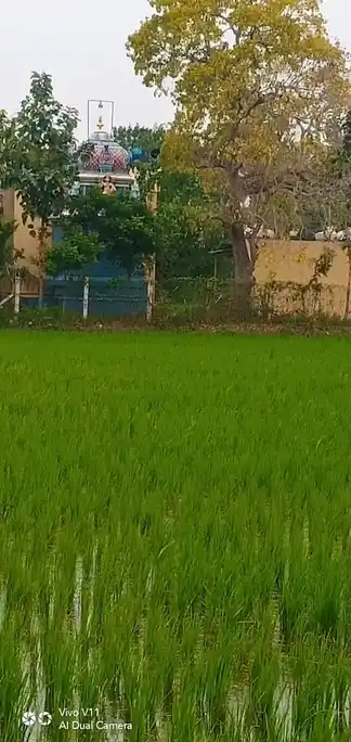 Arulmigu Ayyanar Temple, Kothangudi, Kothankudi - 613501 அருள்மிகு அய்யனார் திருக்கோயில், கொத்தங்குடி, கொத்தங்குடி - 613501, Thanjavur - Ancient Temple Architecture and History Image 3