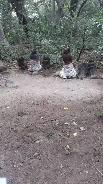 Arulmigu Ayyanar Temple, Kottarai - 621106 Arulmigu Ayyanar Temple, Kottarai - 621106, Perambalur - Ancient Temple Architecture and History Image 2