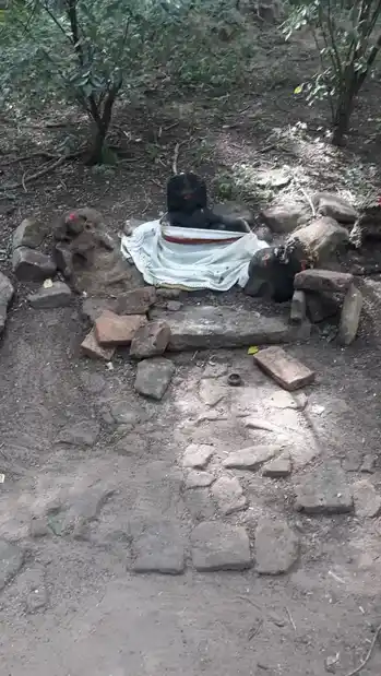 Arulmigu Ayyanar Temple, Kottarai - 621106 Arulmigu Ayyanar Temple, Kottarai - 621106, Perambalur - Ancient Temple Architecture and History Image 3