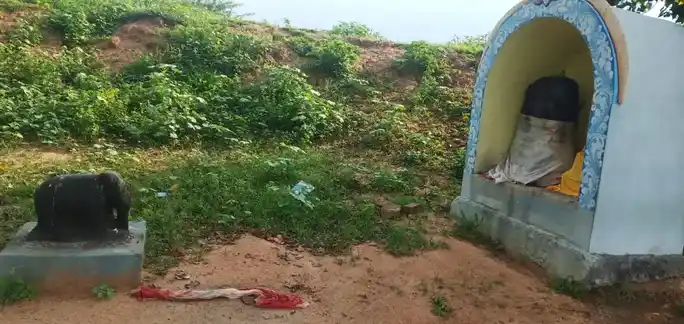 Arulmigu Ayyanar Temple, Kottarapatti - 620002