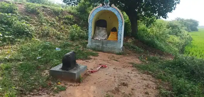 Arulmigu Ayyanar Temple, Kottarapatti - 620002 Arulmigu Ayyanar Temple, Kottarapatti - 620002, Thiruchirappalli - Ancient Temple Architecture and History Image 2