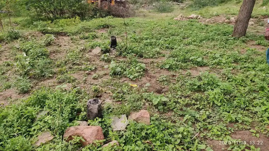 Arulmigu Ayyanar Temple, Kovilankulam - 625514