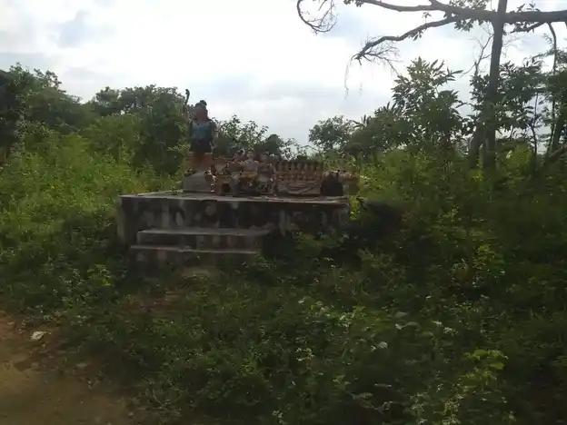 Arulmigu Ayyanar Temple, Kovilpatti - 625501