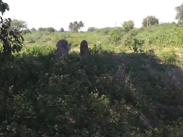 Arulmigu Ayyanar Temple, Kunnanampatti - 625514