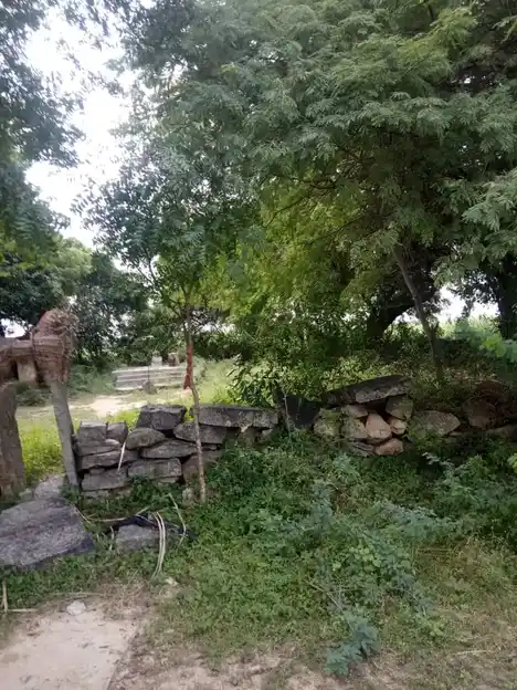 Arulmigu Ayyanar Temple, Kunniyur - 606206 அருள்மிகு அய்யனார் திருக்கோயில், Kunniyur - 606206, Kallakurichi - Ancient Temple Architecture and History Image 2