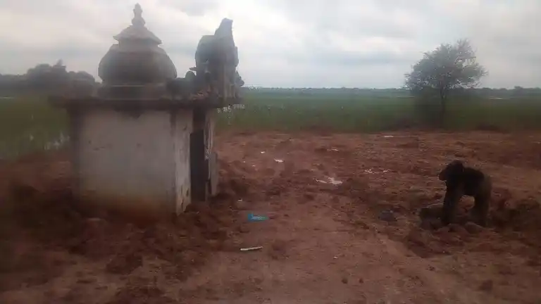 Arulmigu Ayyanar Temple, Kunthapuram - 621715 Temple