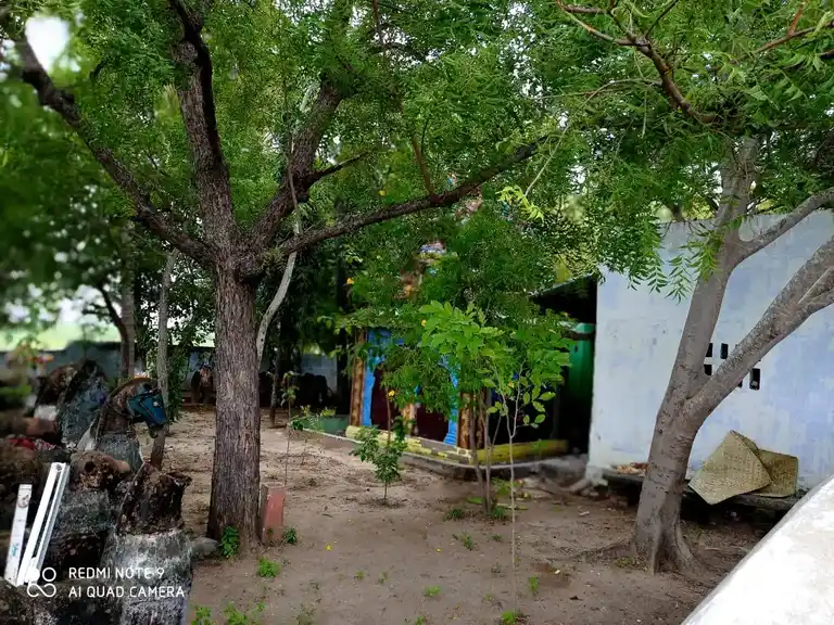 Arulmigu Ayyanar Temple, Kurayur - 625701 Arulmigu Ayyanar Temple, Kurayur - 625701, Madurai - Ancient Temple Architecture and History Image 3