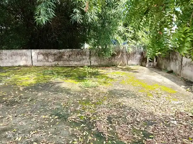 Arulmigu Ayyanar Temple, Maanthai - 612203 அருள்மிகு அய்யனார் திருக்கோயில், மாந்தை - 612203, Mayiladuthurai - Ancient Temple Architecture and History Image 2