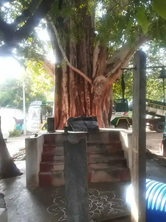 Arulmigu Ayyanar Temple, Madapuram - 630611