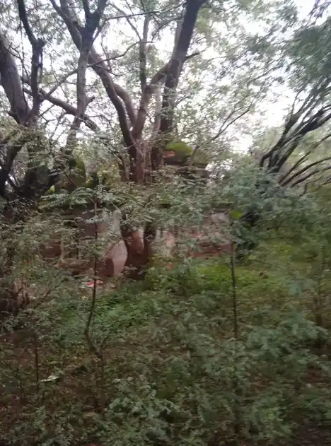 Arulmigu Ayyanar Temple, Malankankudiyiruppu - 621804 Temple