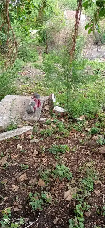 Arulmigu Ayyanar Temple, Maniyatchi - 628302 அருள்மிகு அய்யனார் திருக்கோயில், Maniyatchi - 628302, Thoothukudi - Ancient Temple Architecture and History Image 2