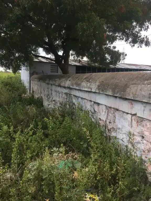Arulmigu Ayyanar Temple, Maruvathur - 621708 Arulmigu Ayyanar Temple, Maruvathur - 621708, Perambalur - Ancient Temple Architecture and History Image 2