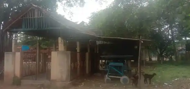 Arulmigu Ayyanar Temple, Mathakaram - 612804 அருள்மிகு அய்யனார் திருக்கோயில், Mathakaram - 612804, Thiruvarur - Ancient Temple Architecture and History Image 3