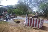 Arulmigu Ayyanar Temple, Mela Karisal Kulam - 627855 அருள்மிகு அய்யனார் திருக்கோயில், Mela Karisal Kulam - 627855, Tenkasi - Ancient Temple Architecture and History Image 6