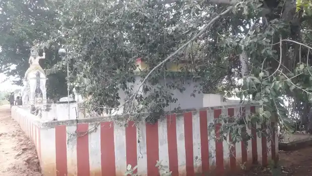 Arulmigu Ayyanar Temple, Melapanangadi - 625014 அருள்மிகு அய்யனார் கோயில், Melapanangadi - 625014, Madurai - Ancient Temple Architecture and History Image 2