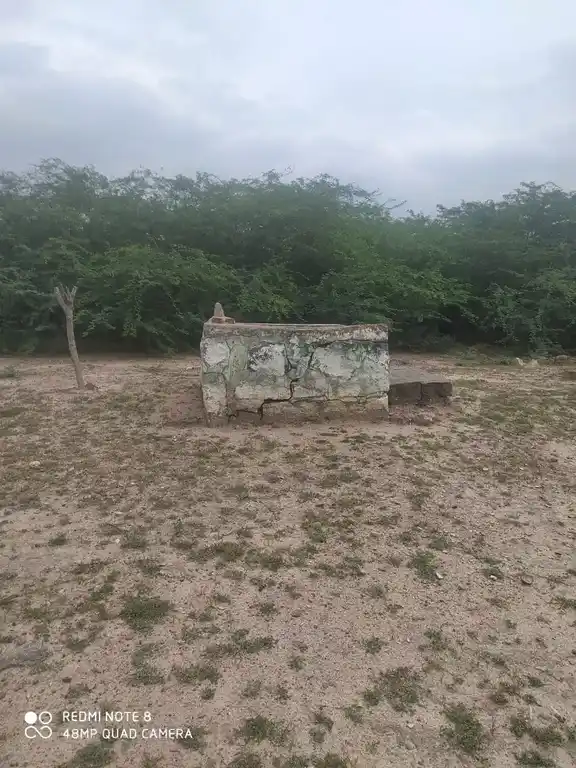 Arulmigu Ayyanar Temple, Melauppilikundu - 625022 Arulmigu Ayyanar Temple, Melauppilikundu - 625022, Madurai - Ancient Temple Architecture and History Image 2