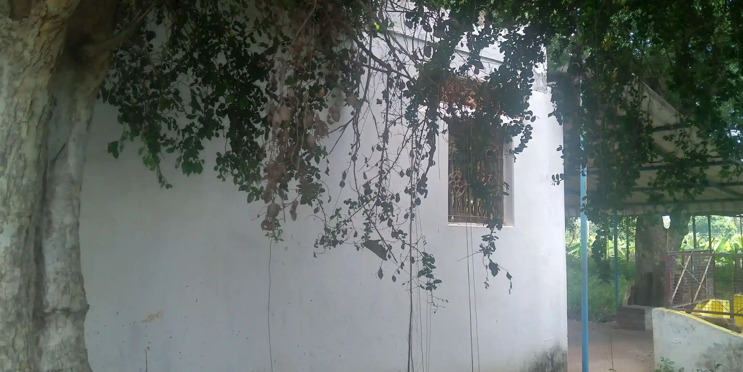 Arulmigu Ayyanar Temple, Mummdichozhamangalam - 621712 Arulmigu Ayyanar Temple, Mummdichozhamangalam - 621712, Thiruchirappalli - Ancient Temple Architecture and History Image 5