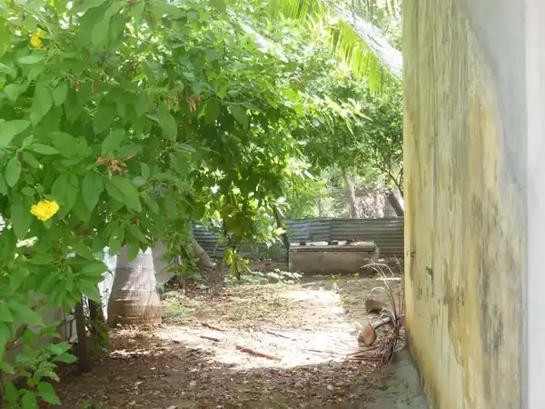 Arulmigu Ayyanar Temple, Muttam - 611002 அருள்மிகு அய்யனார் திருக்கோயில், Muttam - 611002, Nagapattinam - Ancient Temple Architecture and History Image 3