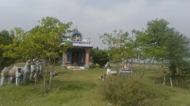Arulmigu Ayyanar Temple, Naanguppatti - 622504
