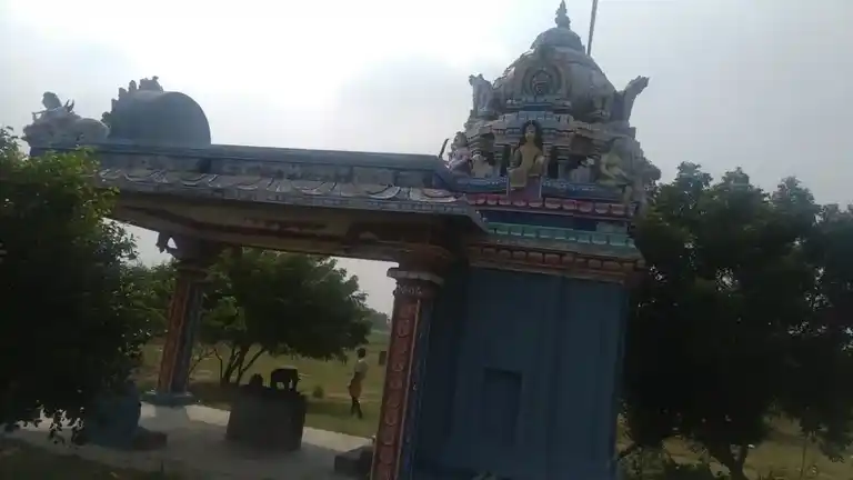 Arulmigu Ayyanar Temple, Naanguppatti - 622504 அருள்மிகு அய்யனார் திருக்கோயில், Naanguppatti - 622504, Pudukkottai - Ancient Temple Architecture and History Image 2