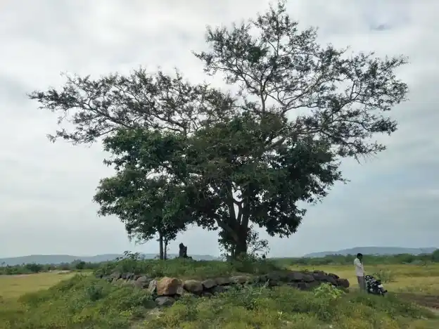 Arulmigu Ayyanar Temple, Naduvalur - 636105 அருள்மிகு அய்யனார் திருக்கோயில், Naduvalur - 636105, Salem - Ancient Temple Architecture and History Image 2