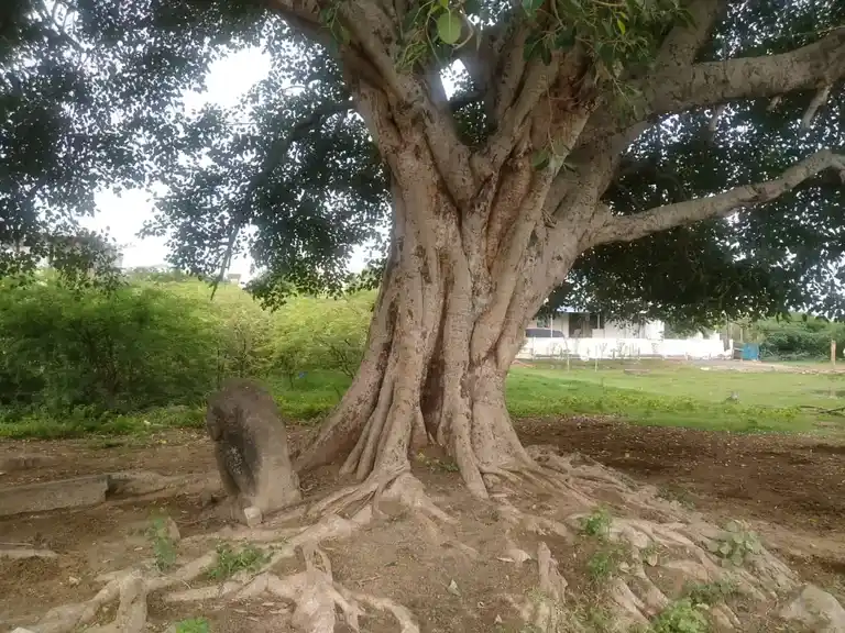 Arulmigu Ayyanar Temple, Nagamangalam - 620012 Arulmigu Ayyanar Temple, Nagamangalam - 620012, Thiruchirappalli - Ancient Temple Architecture and History Image 2