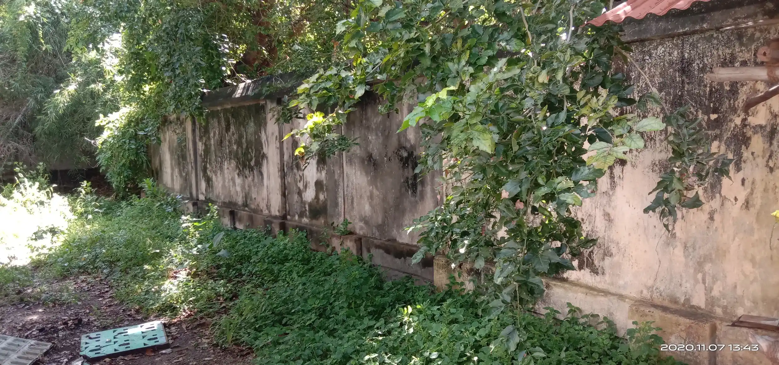 Arulmigu Ayyanar Temple, Nagapattinam - 611001 அருள்மிகு அய்யனார் திருக்கோயில், நாகப்பட்டினம் - 611001, Nagapattinam - Ancient Temple Architecture and History Image 7