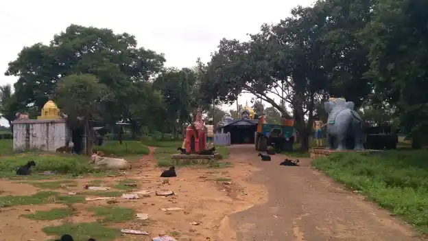 Arulmigu Ayyanar Temple, Nallakkampalayam - 621704 Temple