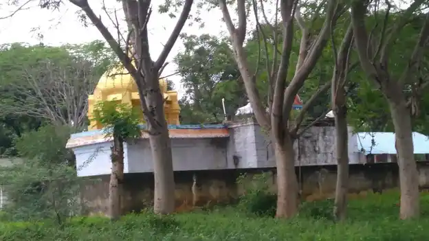 Arulmigu Ayyanar Temple, Nallakkampalayam - 621704 Arulmigu Ayyanar Temple,  - 621704, Ariyalur - Ancient Temple Architecture and History Image 2