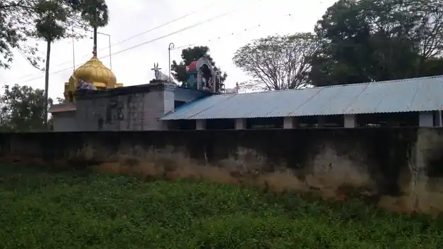 Arulmigu Ayyanar Temple, Nallakkampalayam - 621704 Arulmigu Ayyanar Temple,  - 621704, Ariyalur - Ancient Temple Architecture and History Image 3