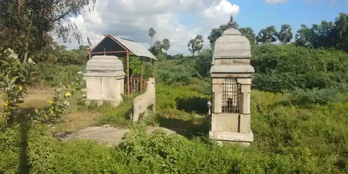 Arulmigu Ayyanar Temple, Nariyanur - 614301 அருள்மிகு அய்யனார் திருக்கோயில், Nariyanur - 614301, Thanjavur - Ancient Temple Architecture and History Image 6